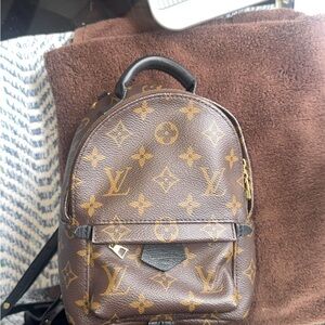 Louis Vuitton Monogram Canvas Backpack 
Palm Springs mini